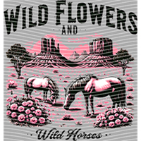 Country music-CM-478